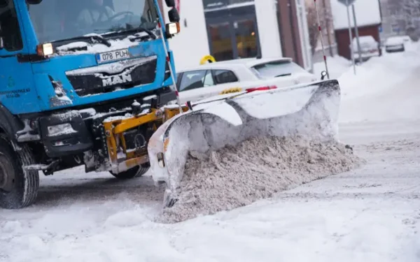 Из-за снегопада в Эстонии свыше 20 000 домохозяйств остались без света