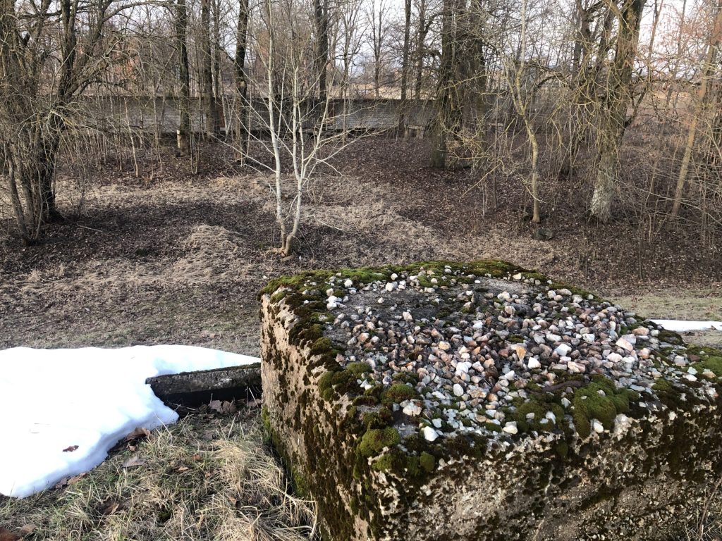 Кренгольмские похождения