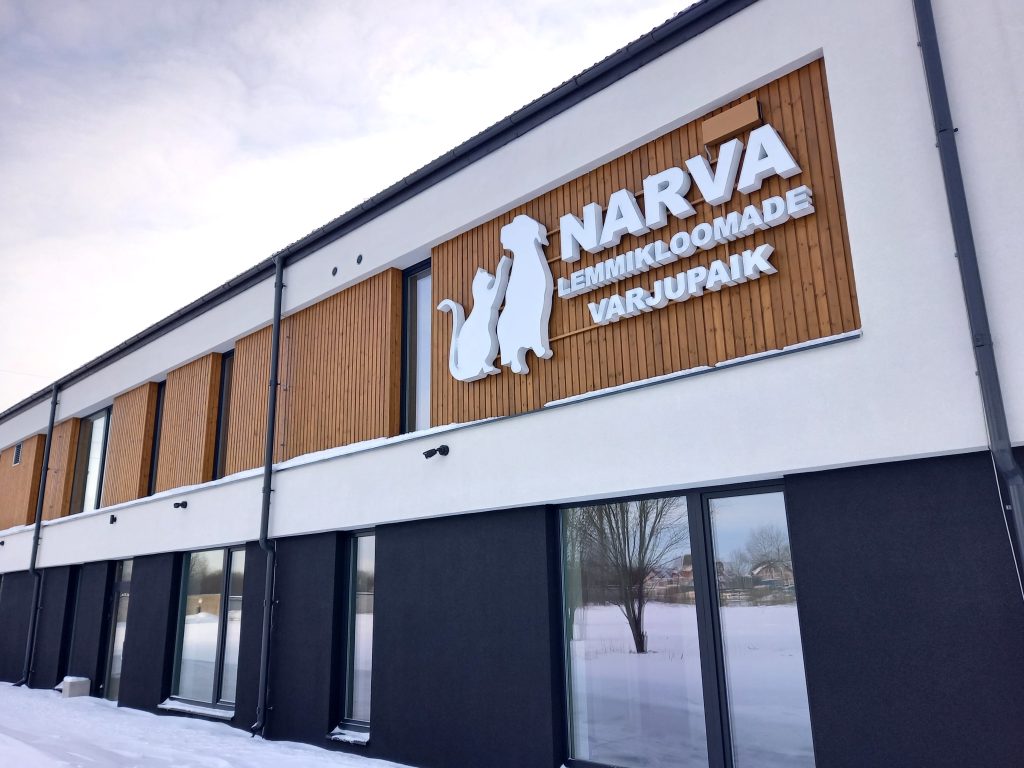 Приют для животных: конкурс на оператора будет объявлен в марте