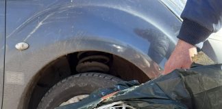 ОБ УБОРКЕ, ВОРОВСТВЕ И ЦВЕТАХ