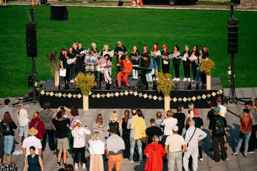 54770090738 9cdb461a47 c